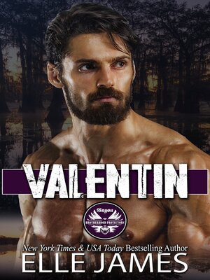 cover image of Valentin